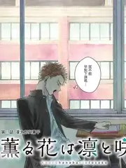环球厨房漫游美食综艺在线观看